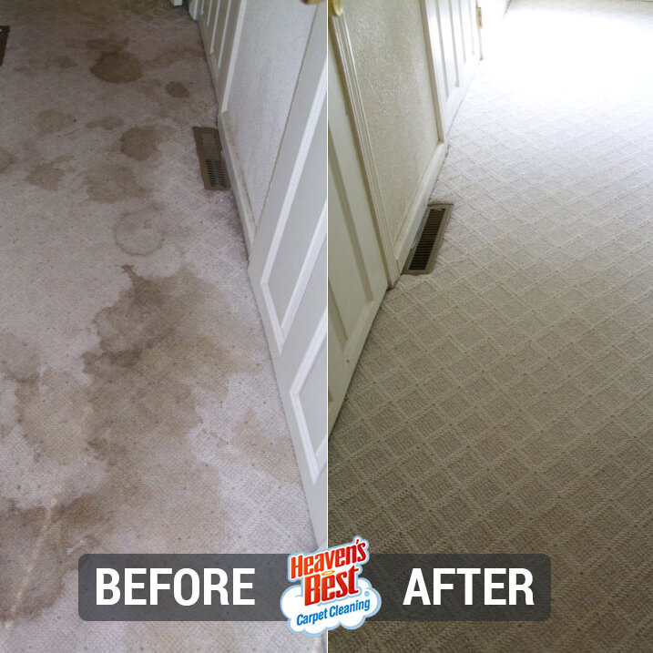 Heaven's Best Carpet Cleaning Lawrenceville, GA